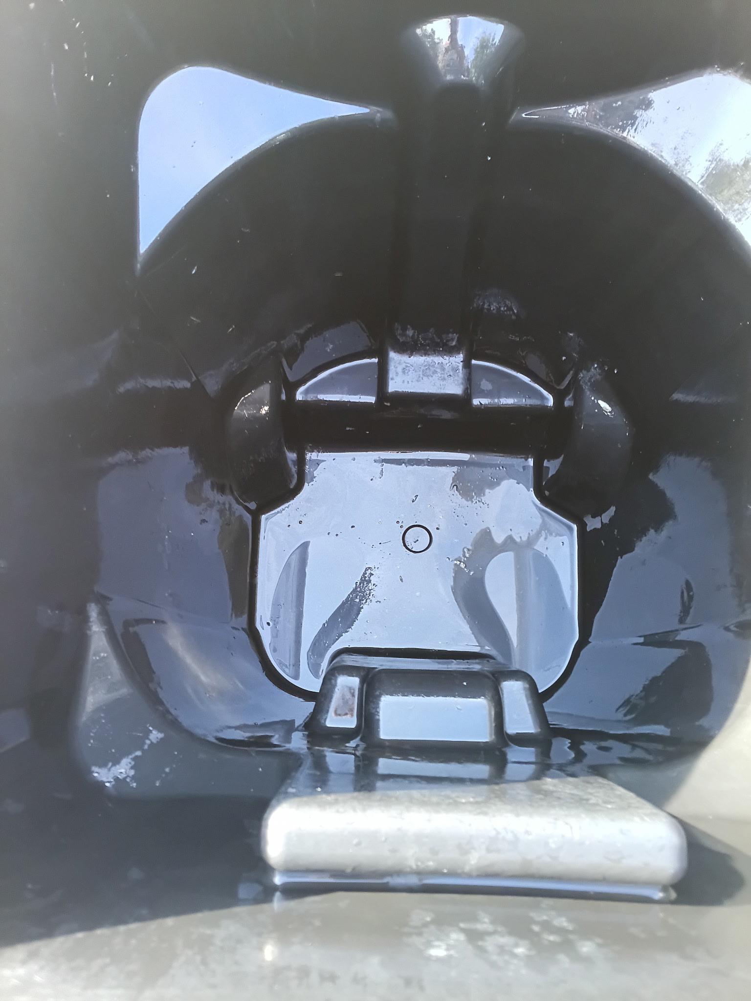 Garbage can cleaning project