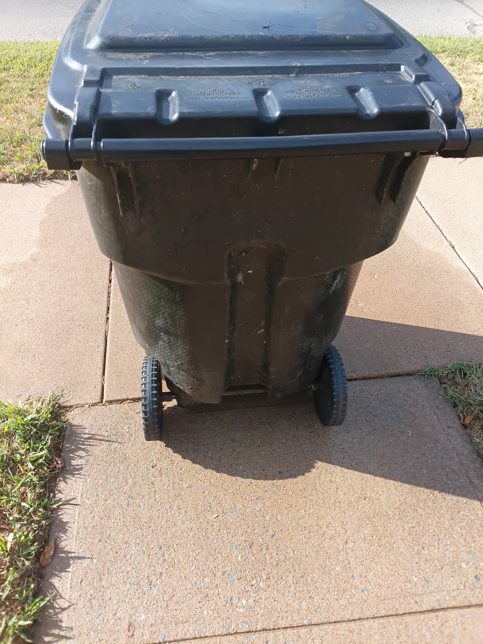 Garbage can cleaning project