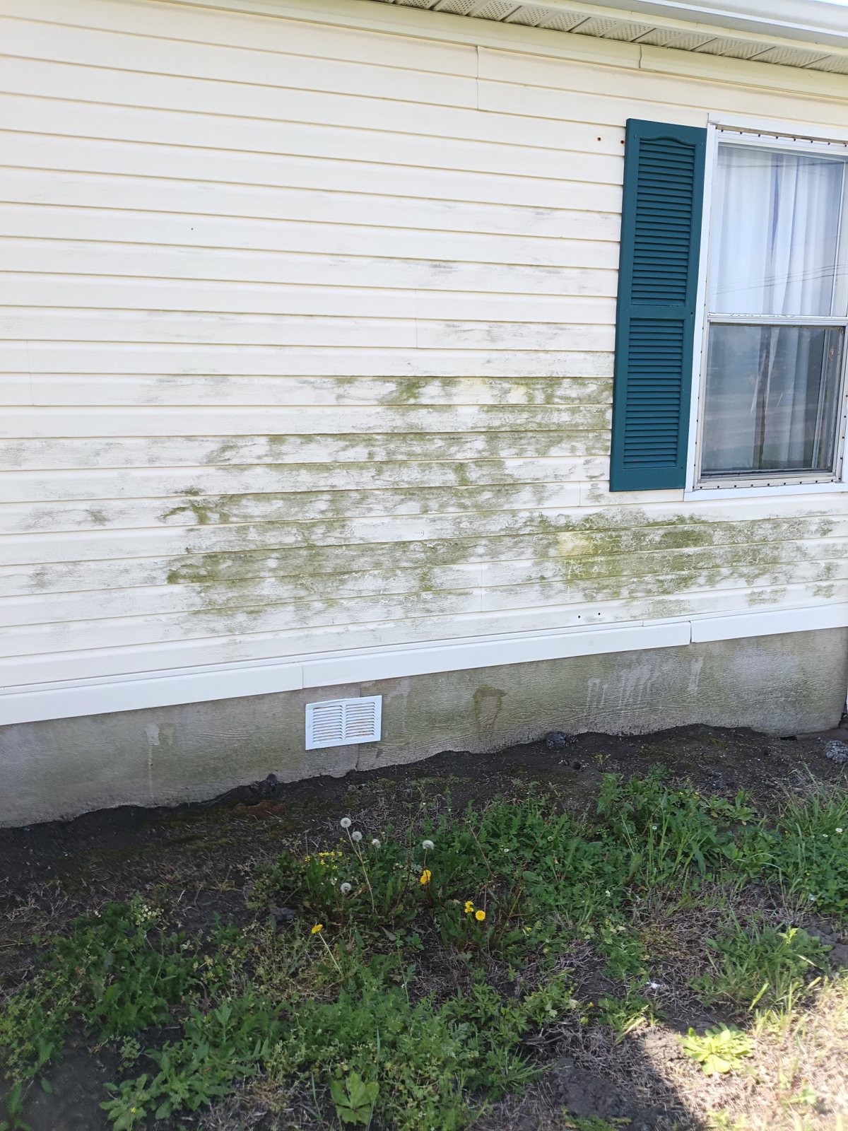 Pressure washing project